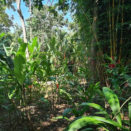 El Jardin De Playa Negra Villa Puerto Viejo de Talamanca Buitenkant foto