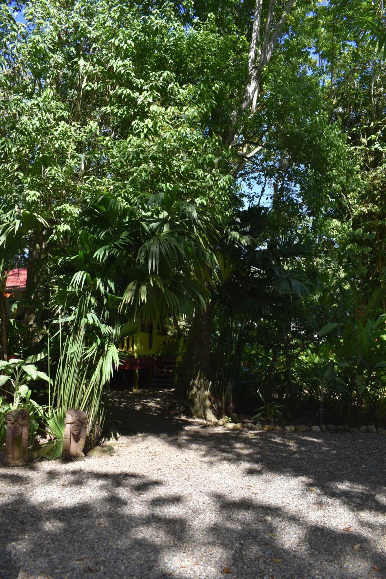 El Jardin De Playa Negra Villa Puerto Viejo de Talamanca Buitenkant foto