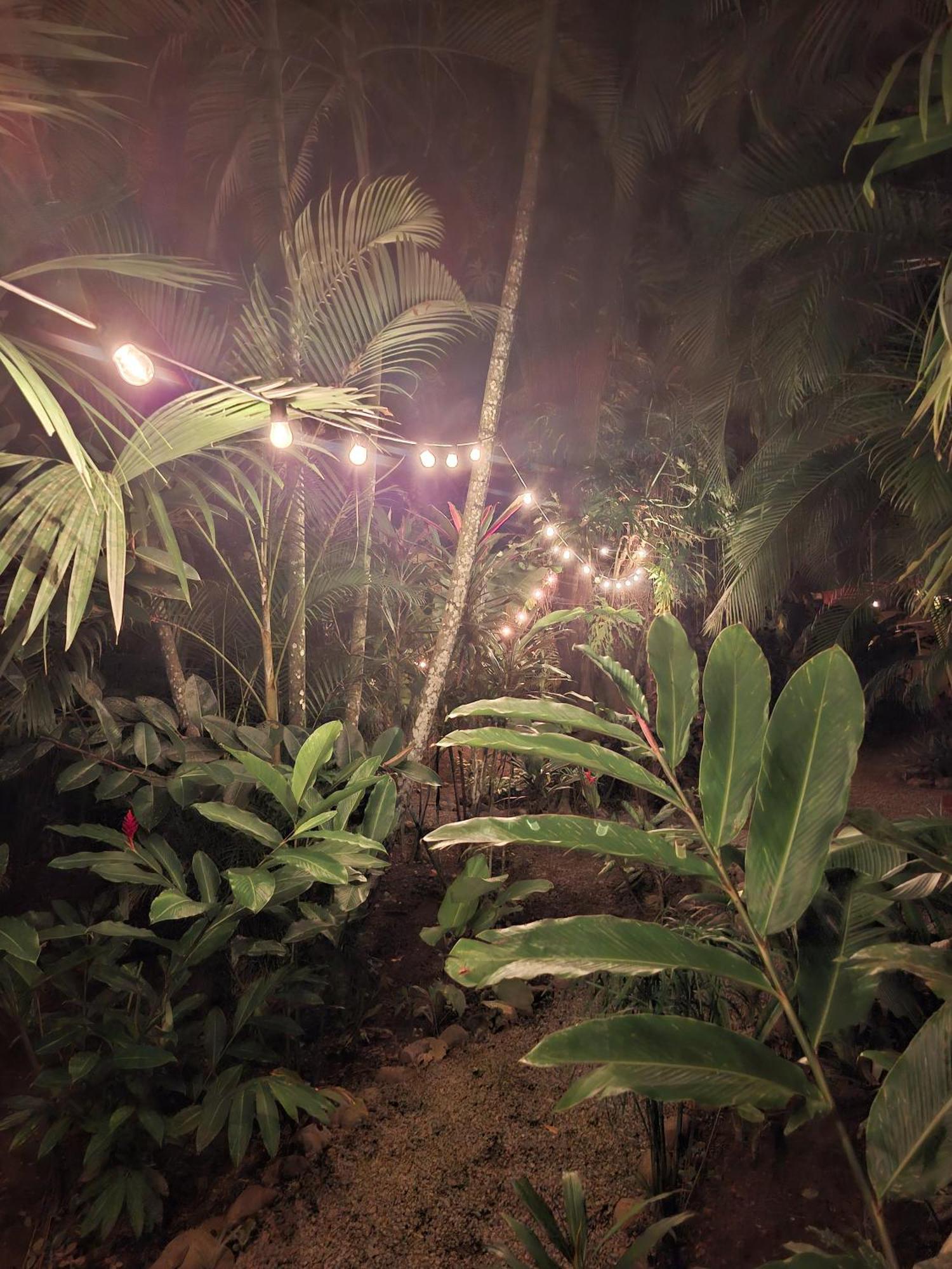 El Jardin De Playa Negra Villa Puerto Viejo de Talamanca Buitenkant foto