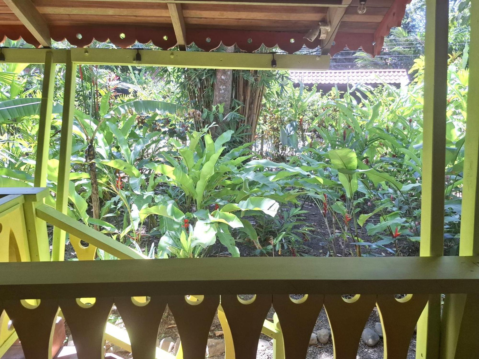 El Jardin De Playa Negra Villa Puerto Viejo de Talamanca Buitenkant foto