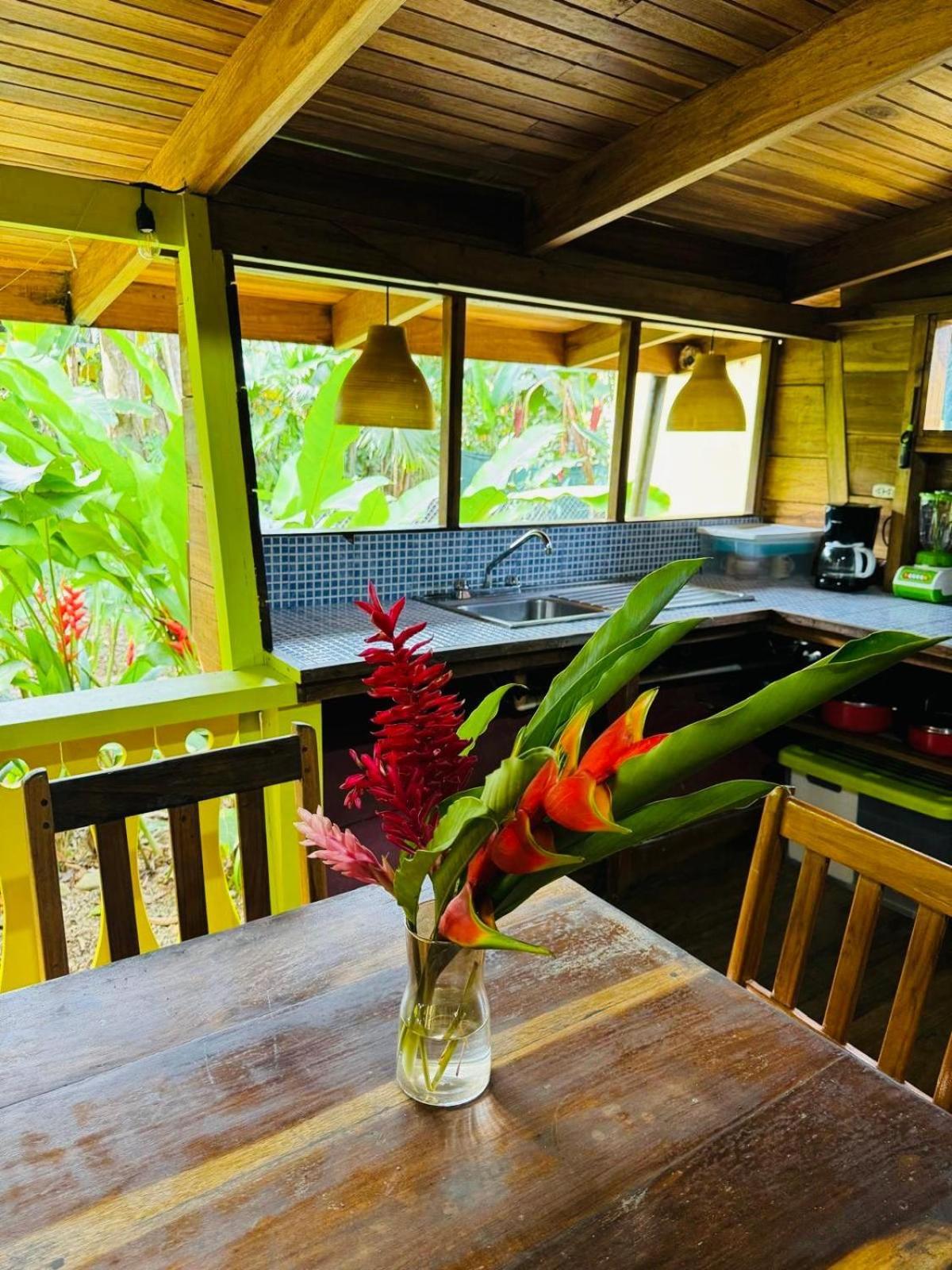 El Jardin De Playa Negra Villa Puerto Viejo de Talamanca Buitenkant foto