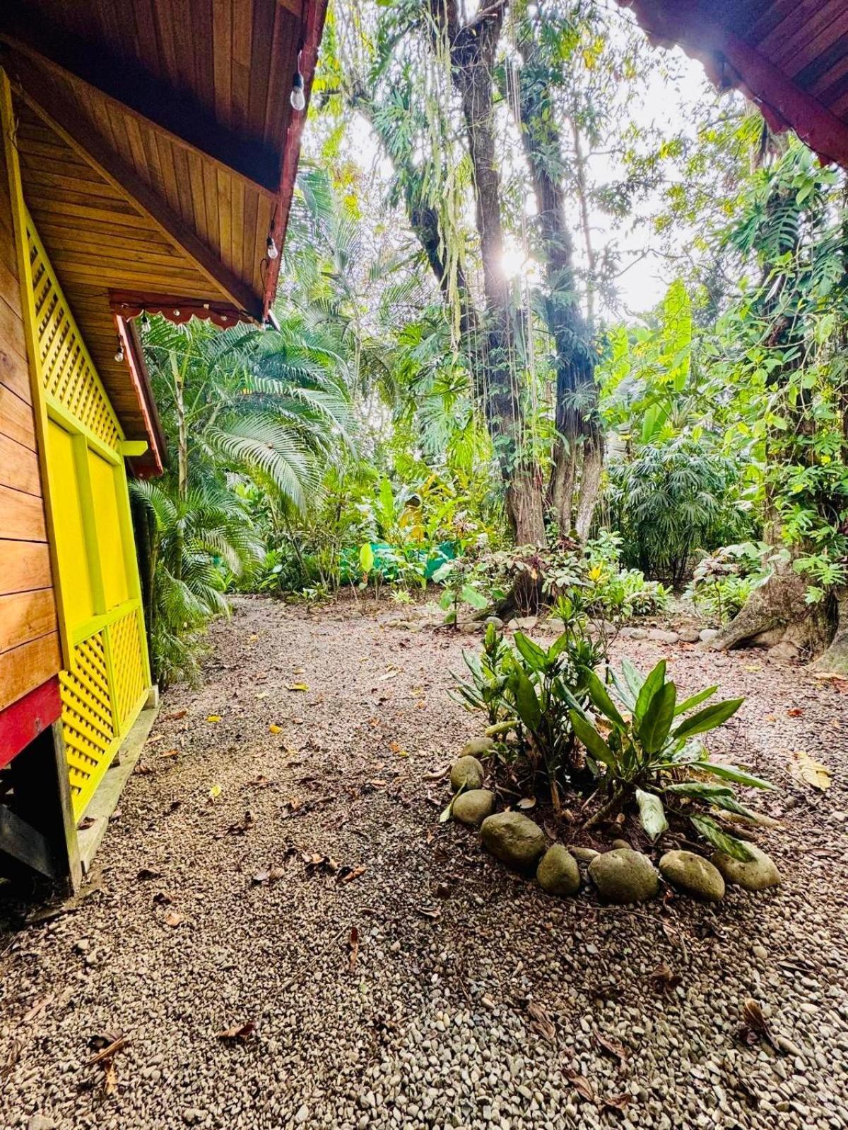 El Jardin De Playa Negra Villa Puerto Viejo de Talamanca Buitenkant foto