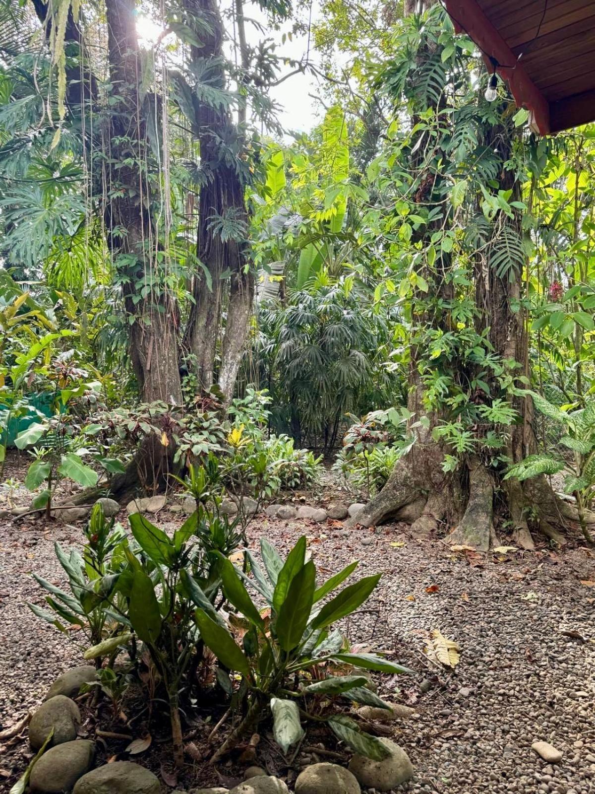 El Jardin De Playa Negra Villa Puerto Viejo de Talamanca Buitenkant foto