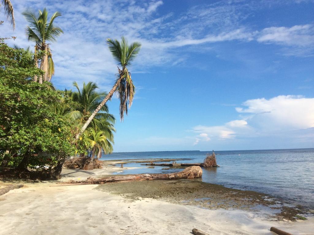 El Jardin De Playa Negra Villa Puerto Viejo de Talamanca Buitenkant foto
