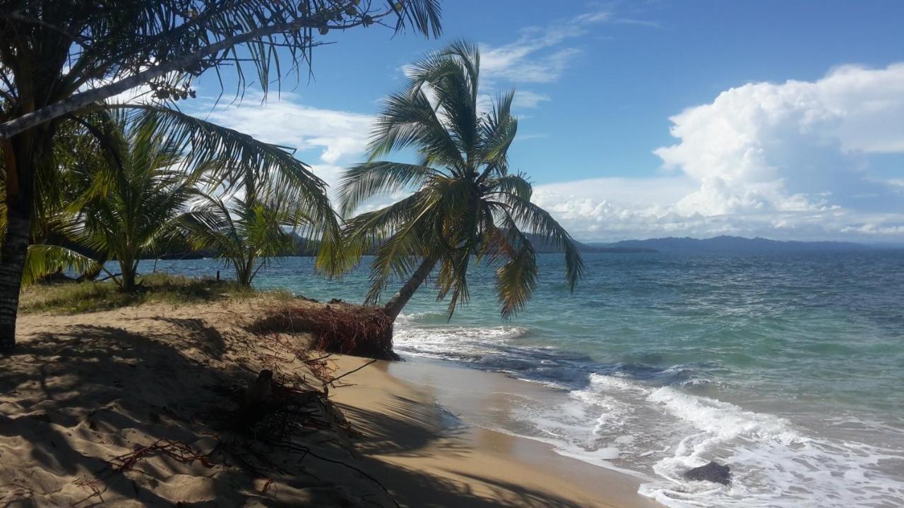 El Jardin De Playa Negra Villa Puerto Viejo de Talamanca Buitenkant foto