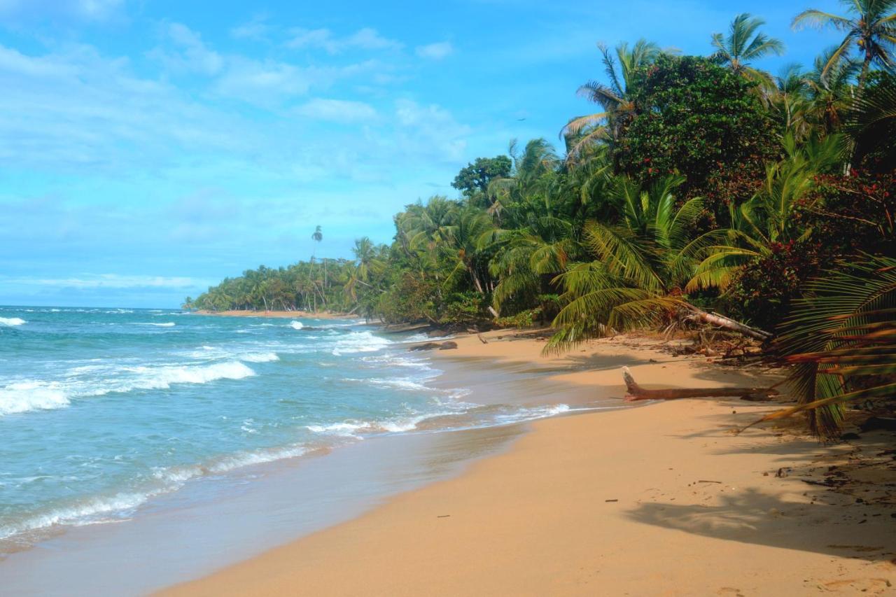 El Jardin De Playa Negra Villa Puerto Viejo de Talamanca Buitenkant foto
